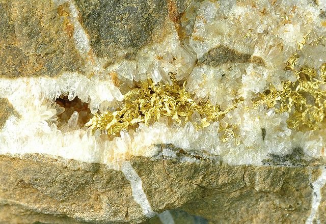 Native gold in quartz vein, representative specimen
